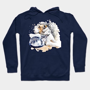 Cat and Dog Friendship Hoodie